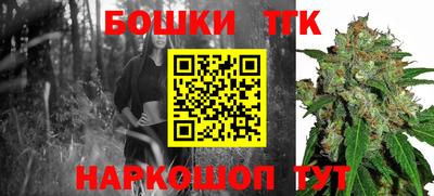 дмт Моздок