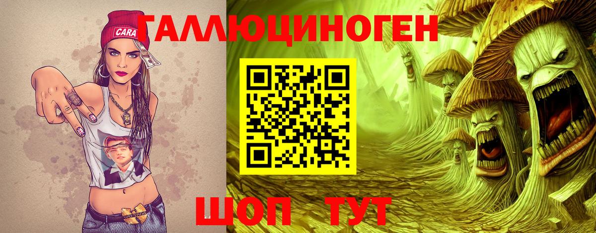 Черногорск  Псилоцибиновые грибы Psilocybe  Вход с VPN 
